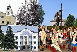 Borzna collage